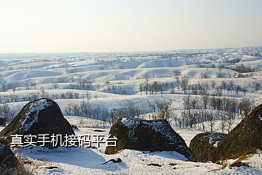 收短信接码犯法吗