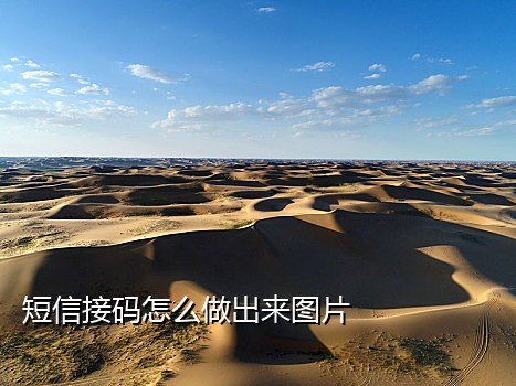 实名卡接码短信验证码平台