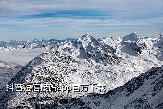 七星接码手机客户端