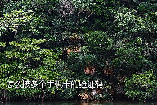 七星接码短信平台下载不了