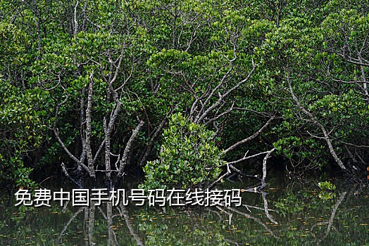 苹果手机上的接码平台