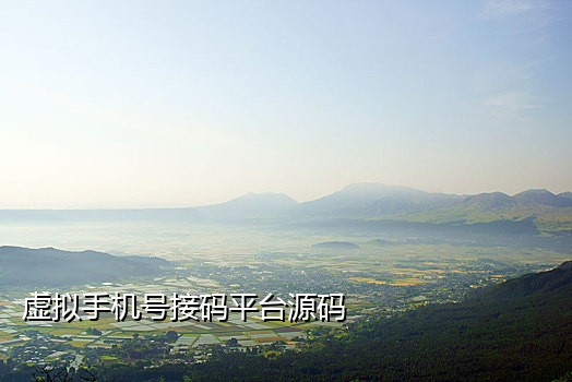 陌陌接码平台技术