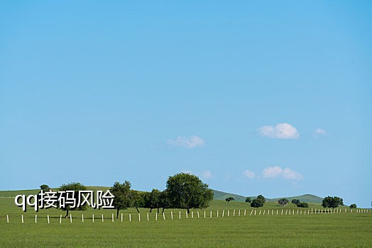 陌陌接码客户端在哪里打开