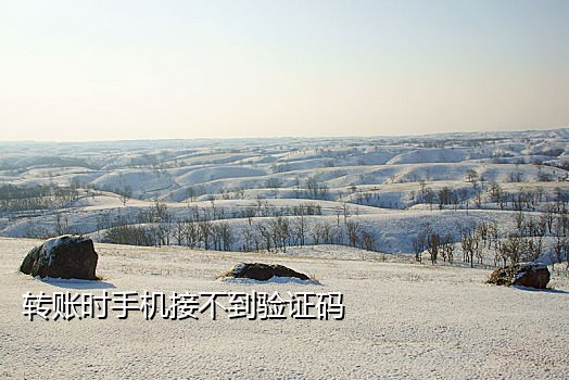 陌陌接码后怎么登录不上