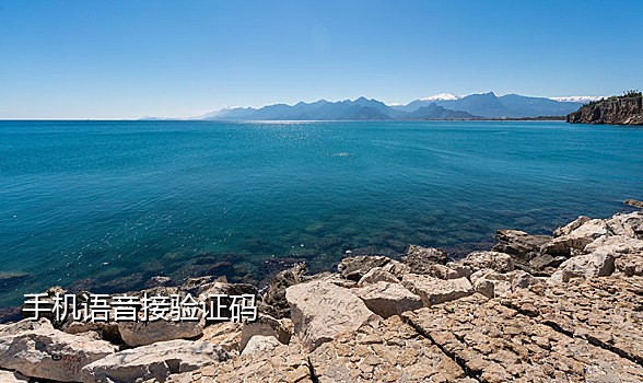 摩社云短信接码