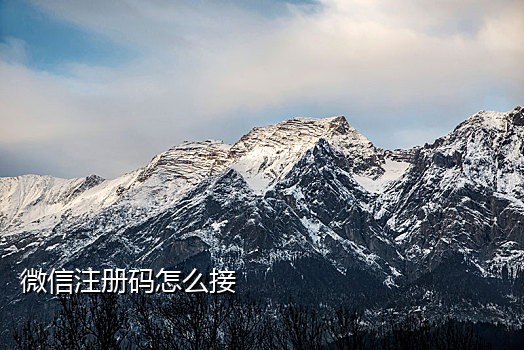 免费手机验证码接码