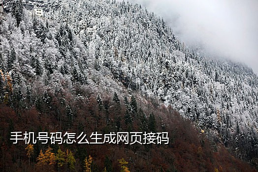 语音短信一体接码平台