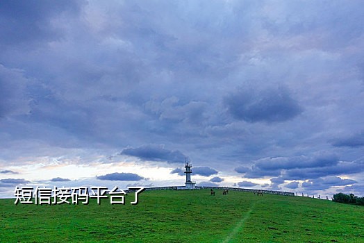 米云短信接码官网下载安装