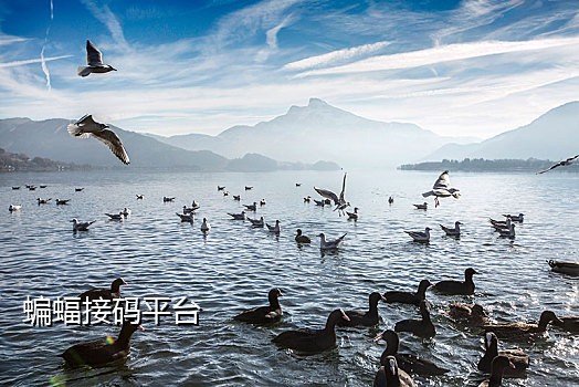 米粒接码微信群