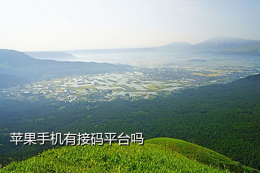 美亚手机号接码