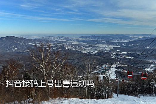 美团首次接码