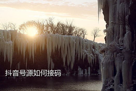 美团手机接码平台