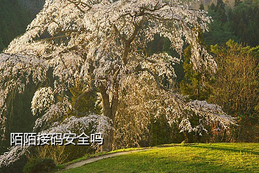 美团收音机可以接扫码机么