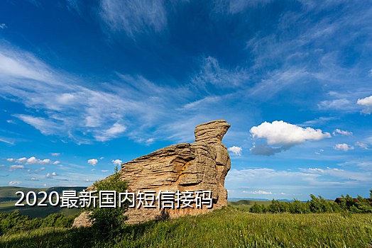 美国手机号短信接码平台