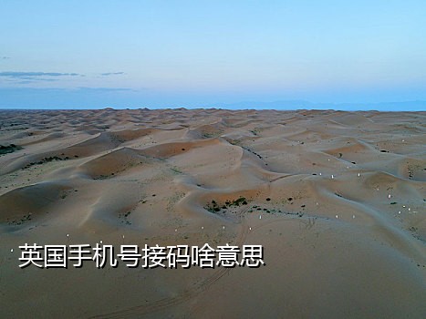 美国手机代接码