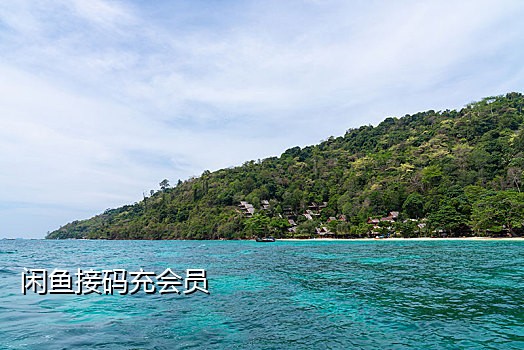 美国收费短信接验证码