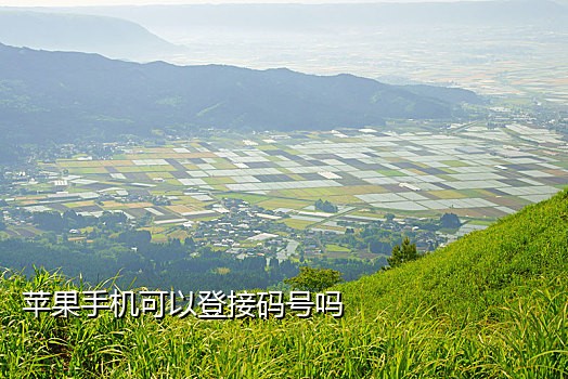 美国免费接码短信平台