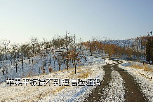 没手机费了要怎么接验证码