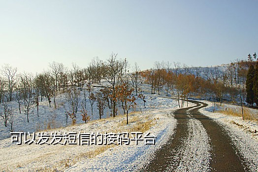 芒果云接码手机APP