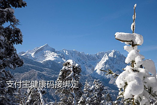 国内手机号接码