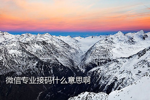 流星短信接码平台