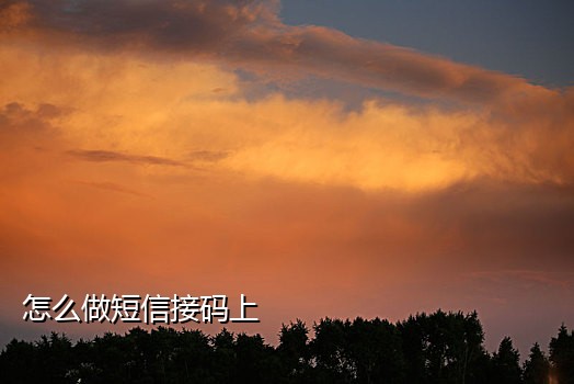 老苹果电脑接不到验证码