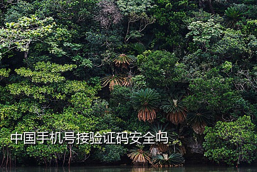 开通国际漫游接短信验证码收费吗