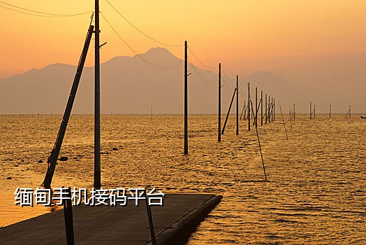 国际手机接码软件