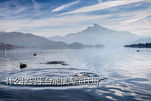 接验证码平台的手机号