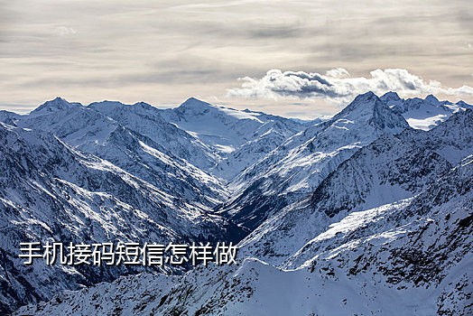 谷歌账号接码器怎么用手机