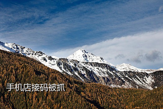 接受收短信接码