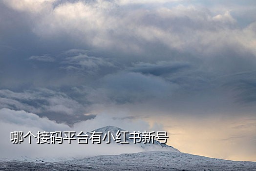 接平台短信验证码