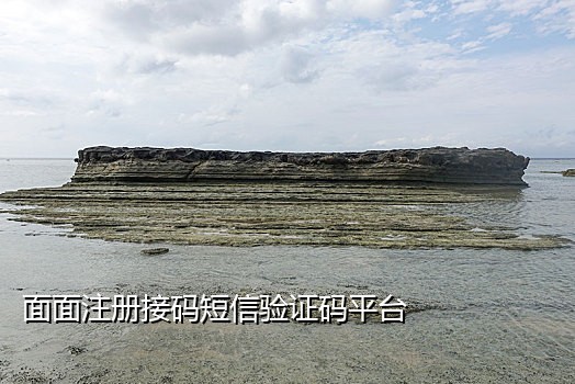 接码软件有接淘宝