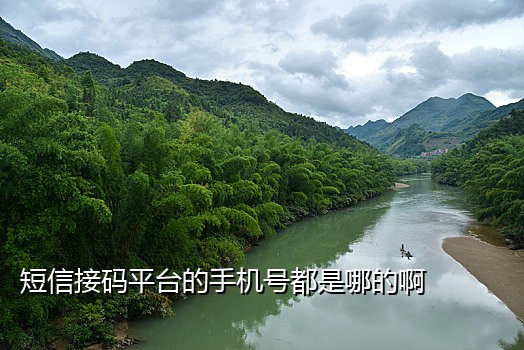 接码平台注册新浪微博