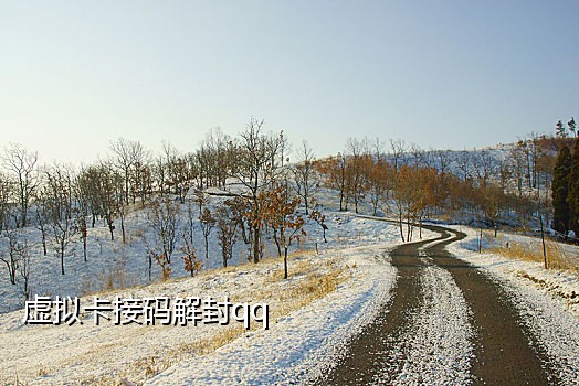 公用手机号接码