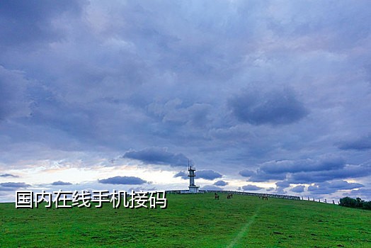 接码平台怎么注册淘宝