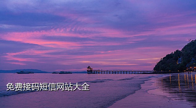 接码平台手机号有人用吗怎么办