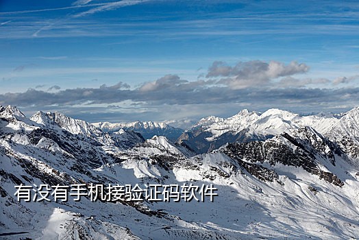 接码平台那些手机版