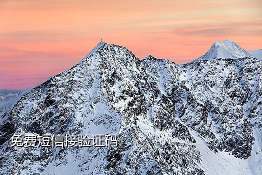 接码平台发短信怎么发