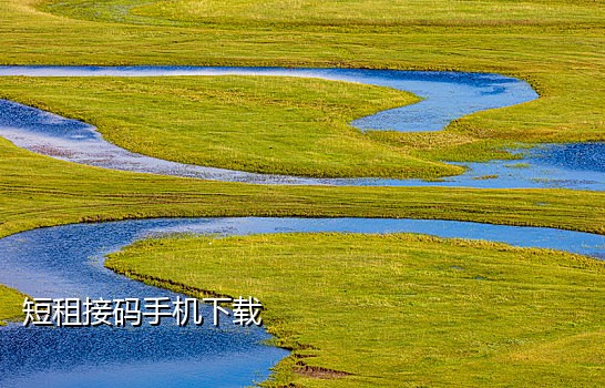 接码平台app手机淘宝