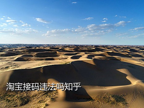 接码平台app苹果版