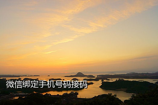 接码短信平台收发
