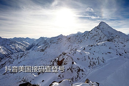 接码短信平台实卡