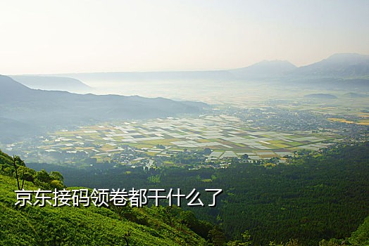接码短信发送平台