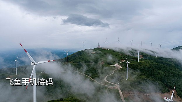 接码北美手机号怎么办