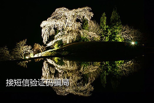 接国外手机验证码