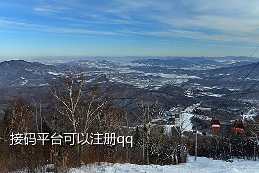 接国外短信验证码