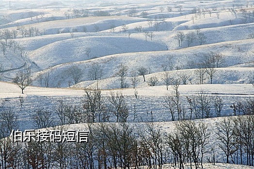 火云接码手机号查询