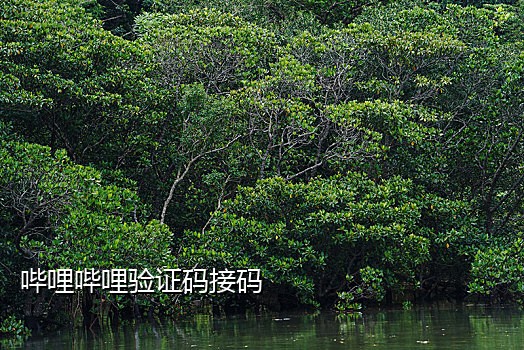 换手机也接不了验证码