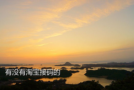 好用的接码短信平台